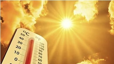 Stay Cool This Summer: 5 HVAC Tips Every Homeowner Should Know 6 Screenshot 2025 05 29 085450.2505290748320 1